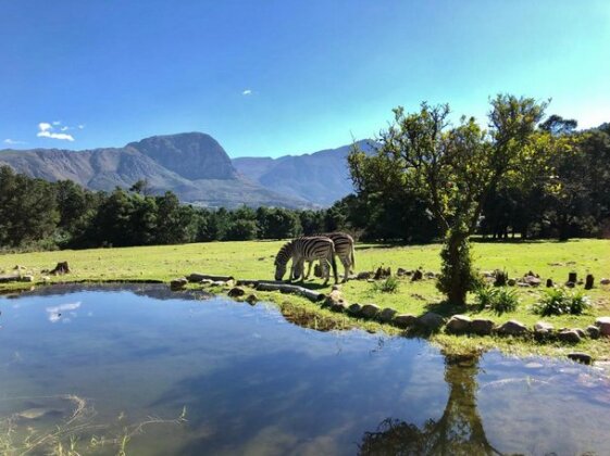 Franschhoek Country Cottages - Photo3