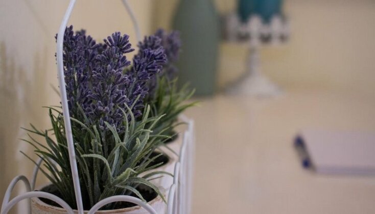 Lavender Lane - Photo2