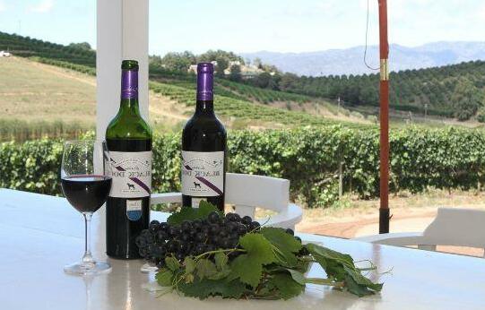 Paul Wallace Wines & Cottages - Photo5