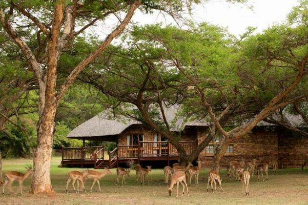 Kruger Park Lodge - Photo4