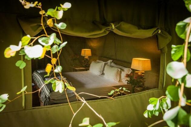 Summerfields Rose Retreat and Spa - Photo3