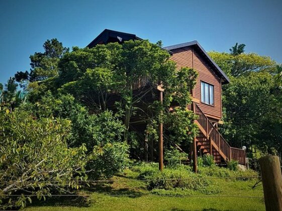 Hib Escape Log Homes
