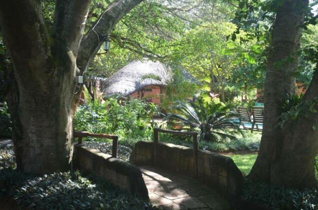 Bushbaby Lodge - Photo2