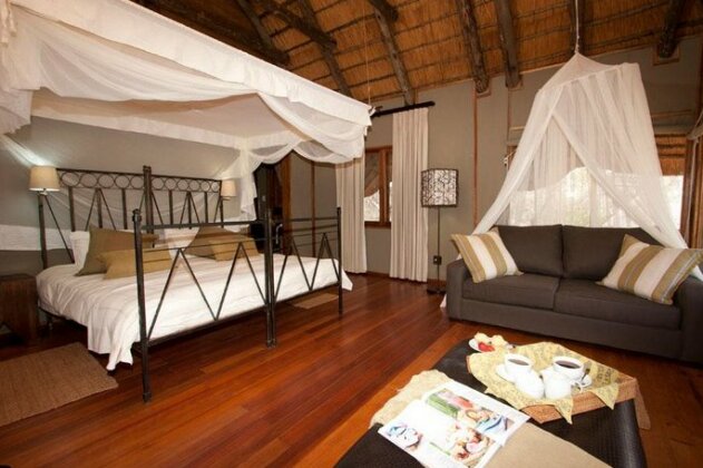 Zululand Tree Lodge - Photo5