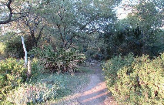 Amanzimlotzi Riverside Bush Camp - Photo3