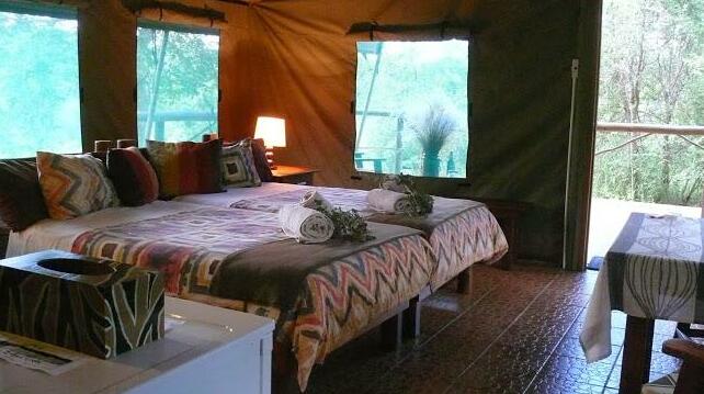 Baluleni Safari Lodge Hoedspruit - Photo4