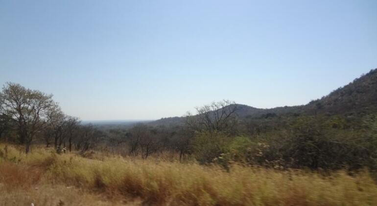 Bloubank Tented Safari Camp - Photo4