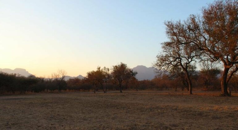 Bloubank Tented Safari Camp - Photo5