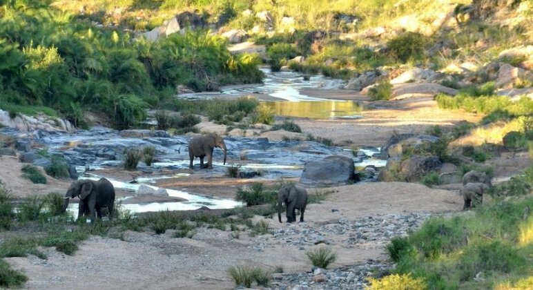 Greenfire Game Lodge - Photo4
