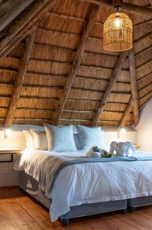 Ntoma Bush Lodge - Photo3