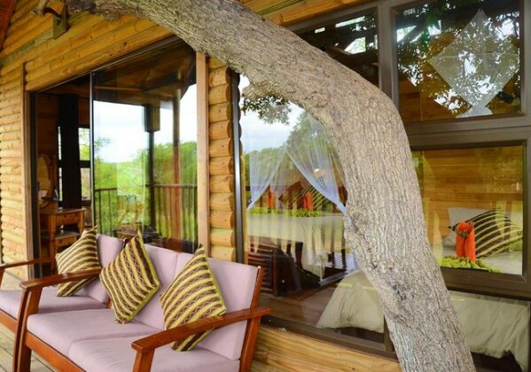 Pezulu Tree House Lodge - Photo2