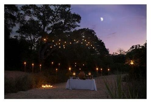 Thornybush Game Lodge - Photo2