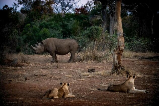 Toro River Lodges Big 5 Safari - Photo3