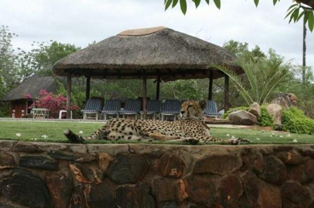 Tshukudu Game Lodge - Hoedspruit - Photo3
