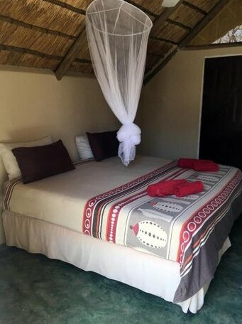 Wild Dogs Safari Lodge - Photo5