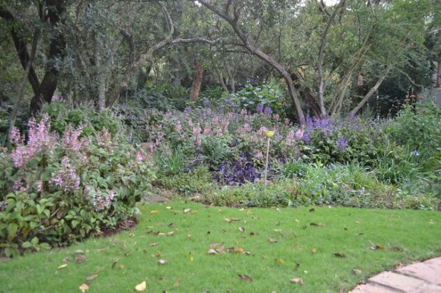 Lydall Wild Tranquil Garden Suites - Photo5