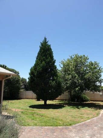 Jabulani Guesthouse - Photo2