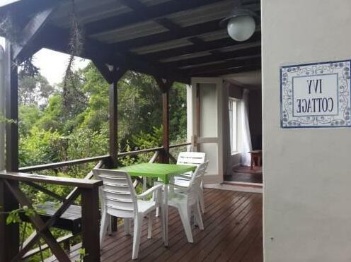Ivy Cottage Knysna - Photo2