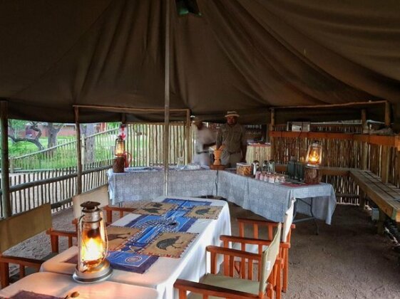 Manyeleti Safari Camp - Photo4