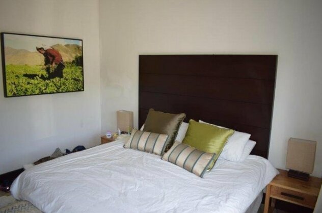 371 Blink Bonnie - Photo5