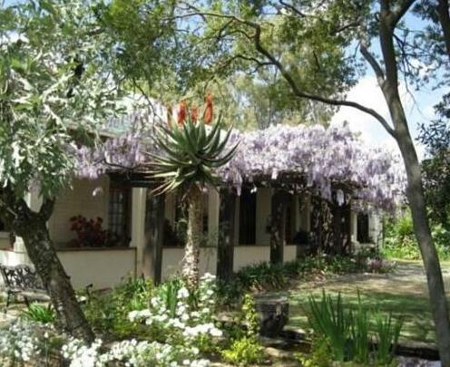 Top House Bed and Breakfast - Photo2