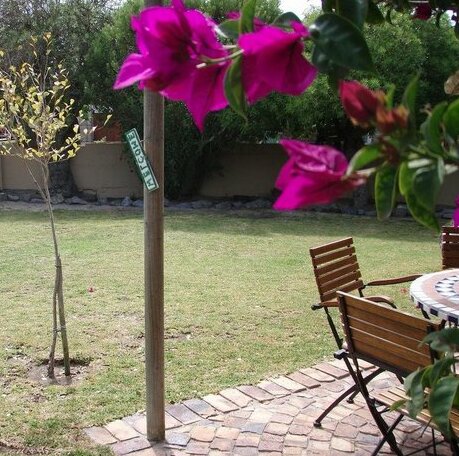 11 Oceans Cottage - Photo5