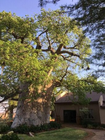 Baobab Lane Lodge - Photo3