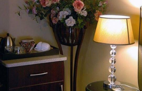 Dankhof Guest House - Photo4