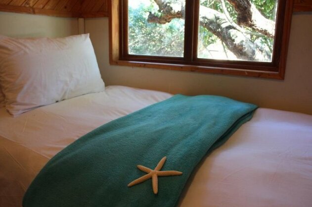 Mseni Beach Lodge - Photo5