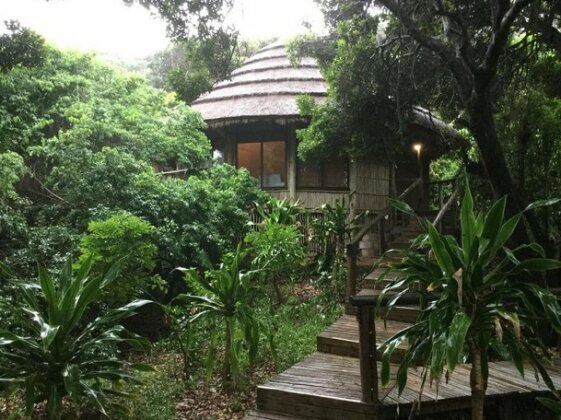 Thonga Beach Lodge - Photo3