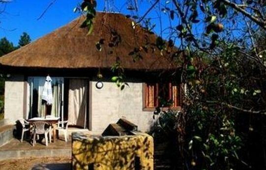 Triton Dive Lodge Pty Ltd - Photo3