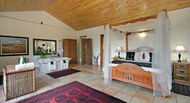 Olive Tree Farm - Photo4