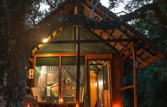 Kosi Forest Lodge - Photo3