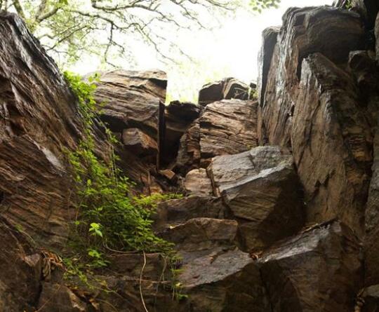 Ehlathini Lodge - Photo2