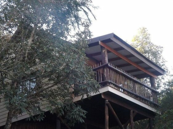 Bundu Lodge - Photo4