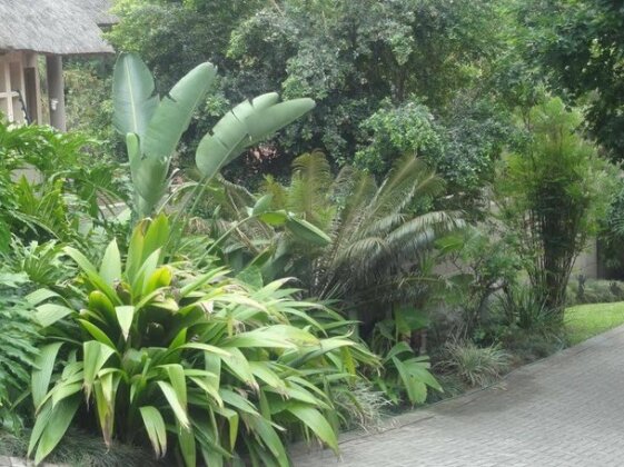 Mariu Guest House - Photo3