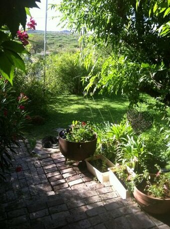Frida's Guesthouse - Photo3