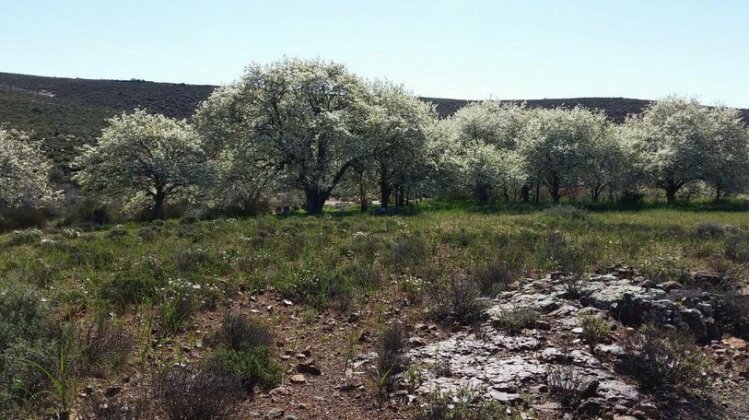 Middelfontein Farm - Photo4