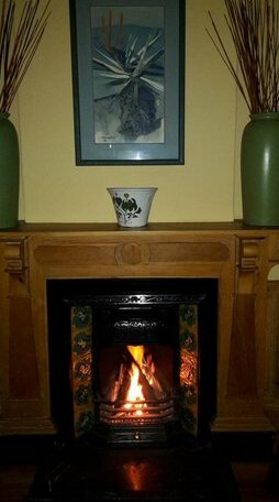 Moonlight Manor - Photo2
