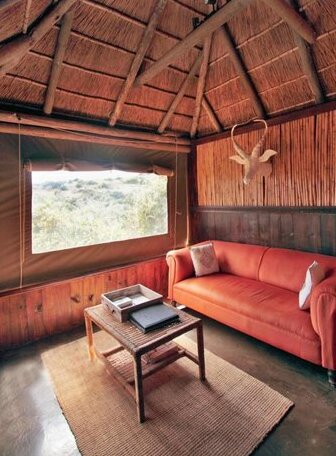 Safari Lodge- Amakhala Game Reserve - Photo5