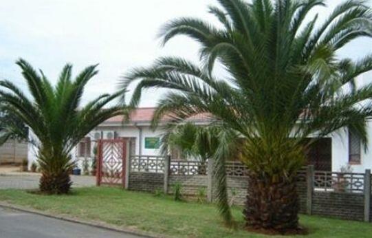 Arabian Nite Guest House - Photo2