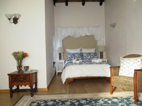 Windfall Plett - Photo5