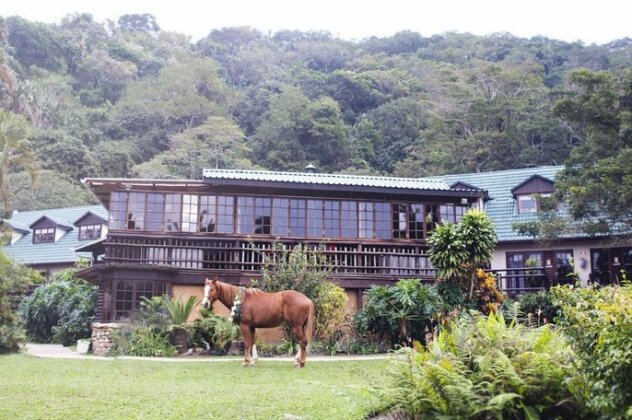 Umtamvuna River Lodge - Photo2