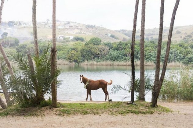 Umtamvuna River Lodge - Photo4