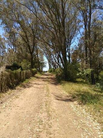 Amazing Grace Port Elizabeth - Photo5