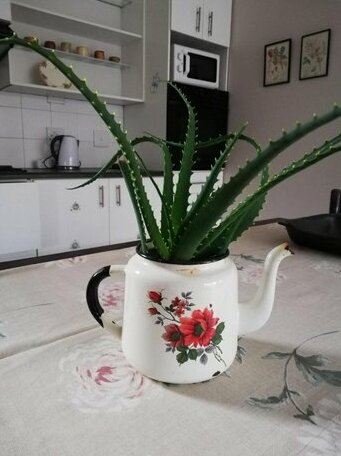 Holly Guest House Port Elizabeth - Photo3