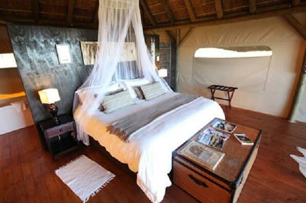 Jbay Zebra Lodge - Photo4