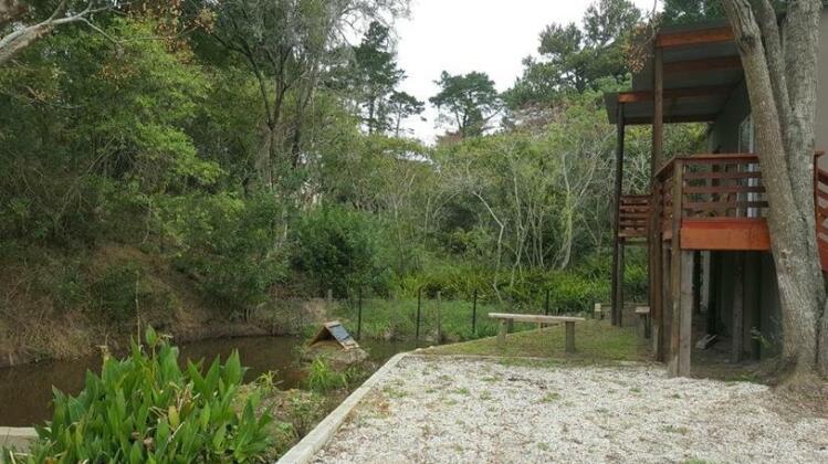 Loerie Guest Cottage - Photo5