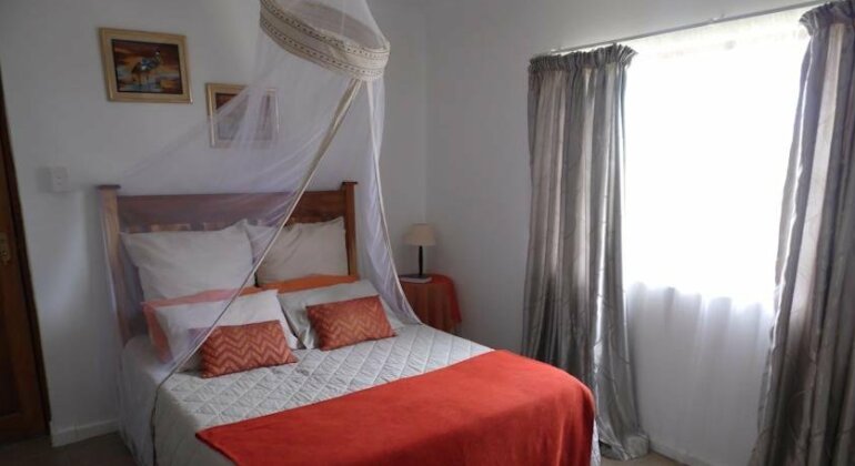 The Hexagon Wildlife Conservation - Photo4