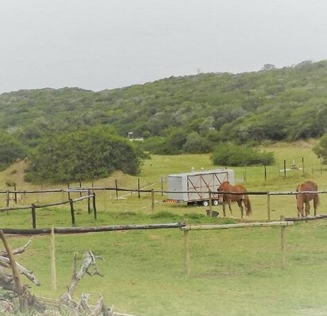 The Three Chestnuts Port Elizabeth - Photo2